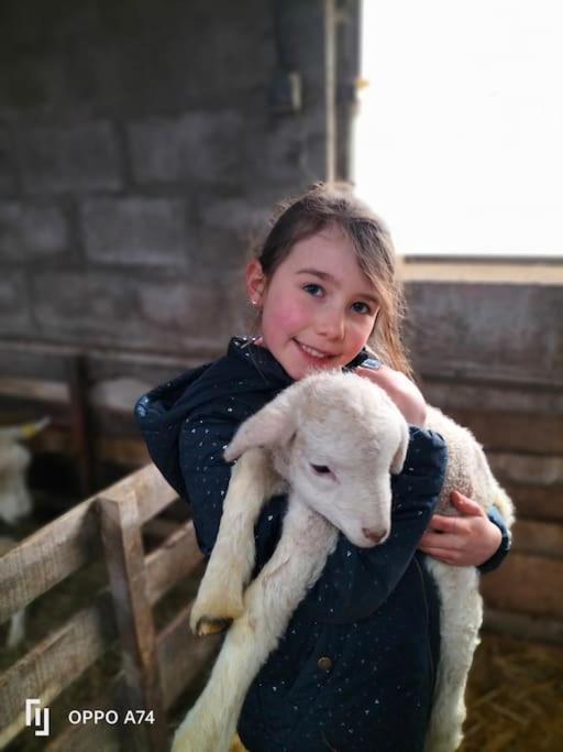 Gite La Dame Au Lit Gite A La Ferme Momignies Zewnętrze zdjęcie