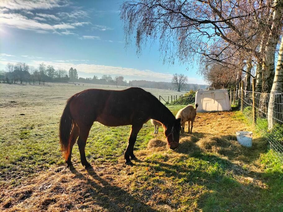 Gite La Dame Au Lit Gite A La Ferme Momignies Zewnętrze zdjęcie