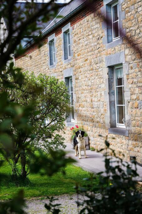 Gite La Dame Au Lit Gite A La Ferme Momignies Zewnętrze zdjęcie