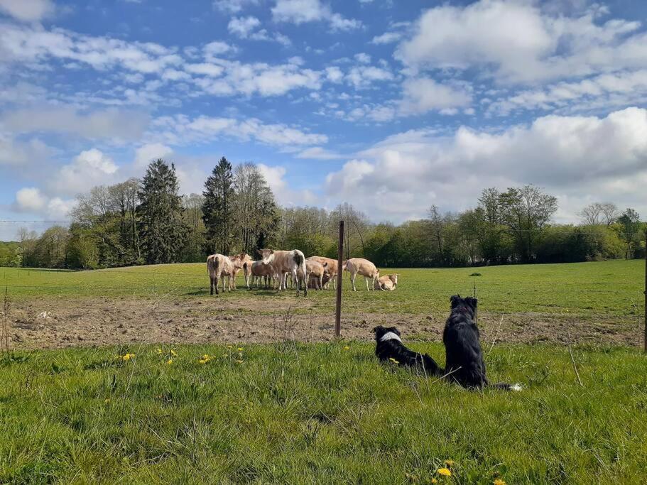Gite La Dame Au Lit Gite A La Ferme Momignies Zewnętrze zdjęcie